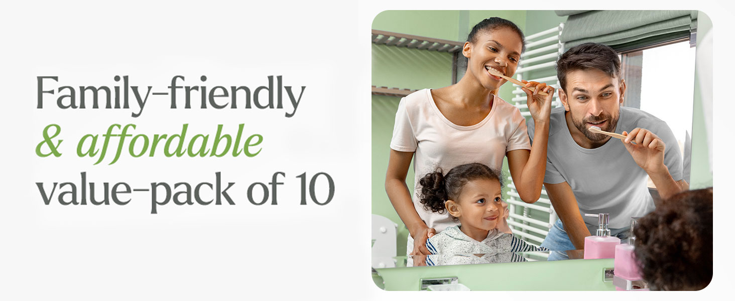 toothbrushes 10 pack