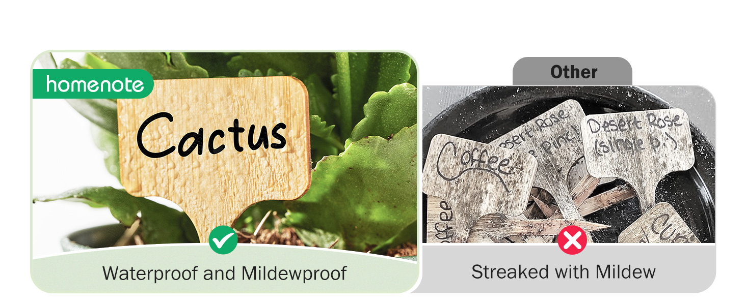 Bamboo Plant Labels