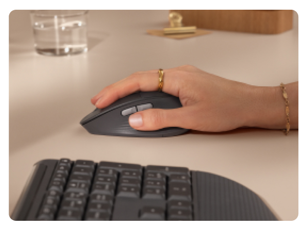 a graphite mouse