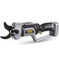 https://m.media-amazon.com/images/I/315Z220c2ZL.__AC_SR200,225___.jpg