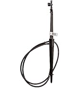 Rain Bird MSSTKTF1S Drip Irrigation Micro-Spray on Adjustable Height Staked Riser with 1/4" Tubin...