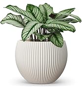 homenote Flower Pots 14.5 Inch,Large Plant Pots Indoor with Drainage,Plastic Pots for Plants,Gard...