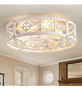 ZYD Caged Ceiling Fans with Light, 20" Ceiling Fans with Lights and Remote Flush Mount, Bladeless...