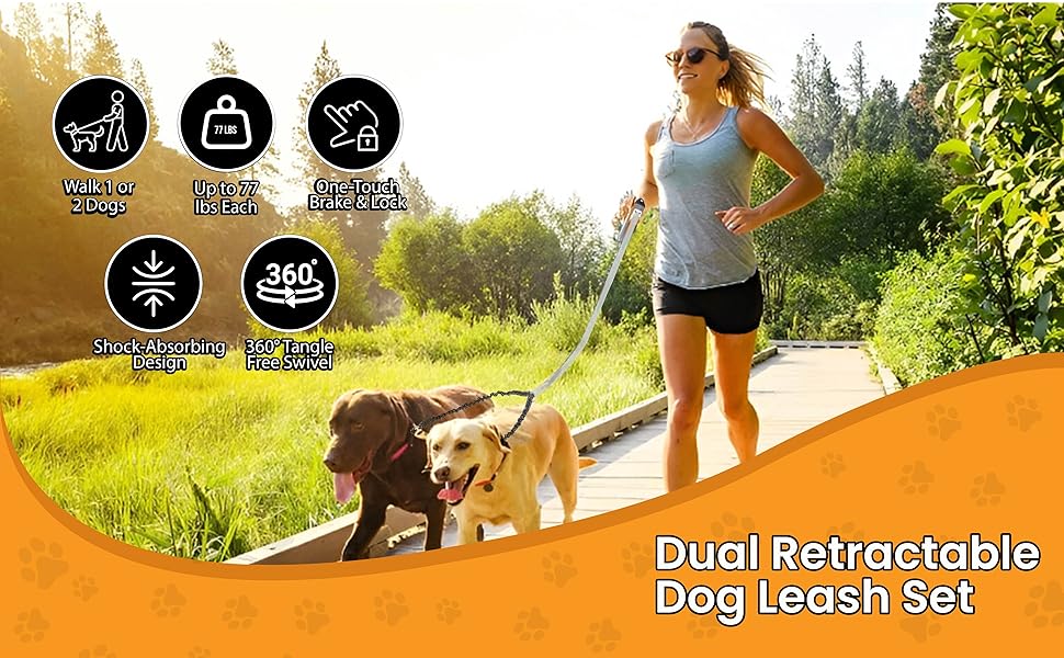 "The Smart Way to Walk Two Dogs"