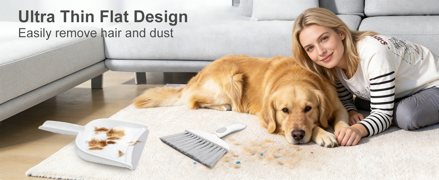 Small Dust Pan and Brush Set