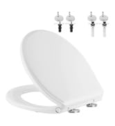 toilet seat