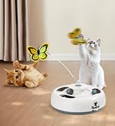 electric cat hideseek toy