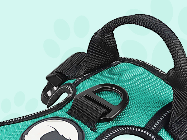 Closeup of teal and black pet harness with adjustable straps and reinforced stitching.