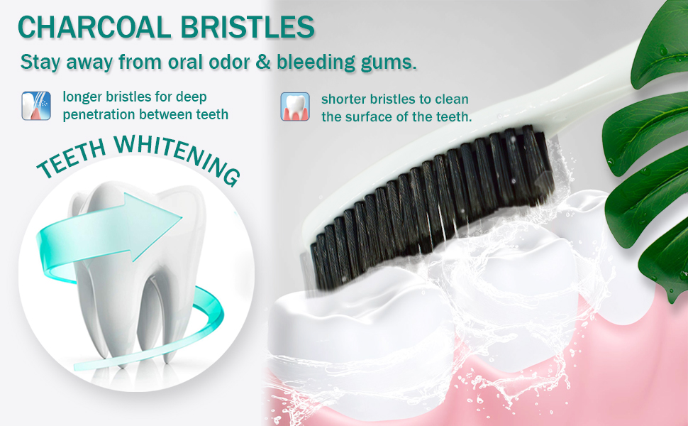 CHARCOAL BRISTLES, TEETH WHITENING