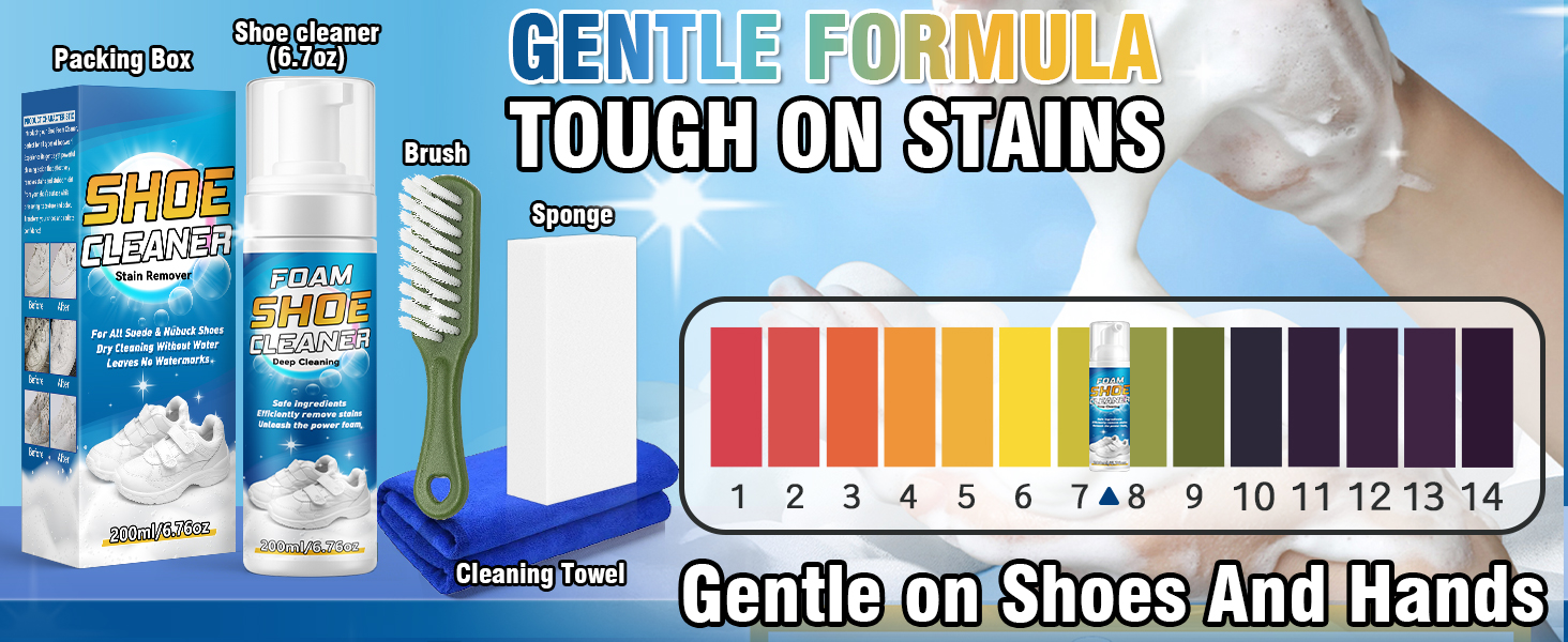 shoe cleaner kit
