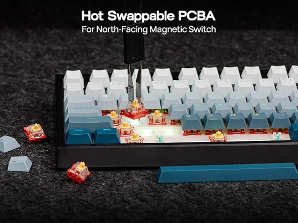 Text reads 'Hot Swappable PCBA For North-Facing Magnetic Switch'. Row of white keyboard switches arranged in sequence against dark background.