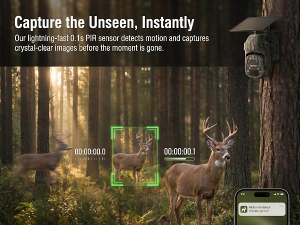 wireless trail camera tasco trail camera? trail camera no subscription cell ?trail camera solar