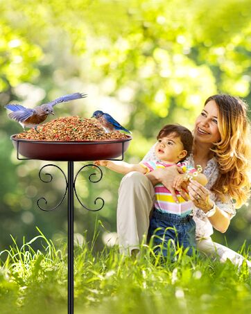 Metal Bird Bath for Outside
