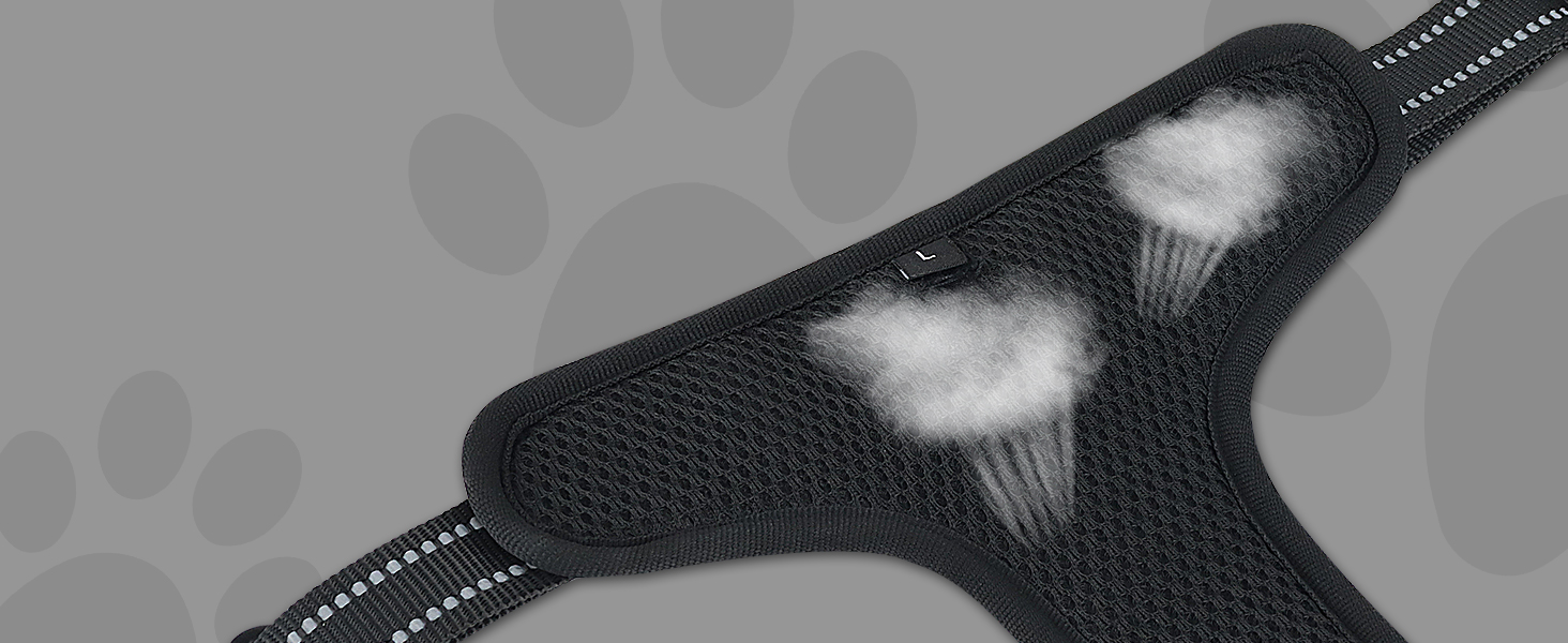 dog harness