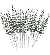 Ruidazon 30 Pcs Artificial Eucalyptus Stems, Farmhouse Real Touch Eucalyptus Leaves Decor for Wed...