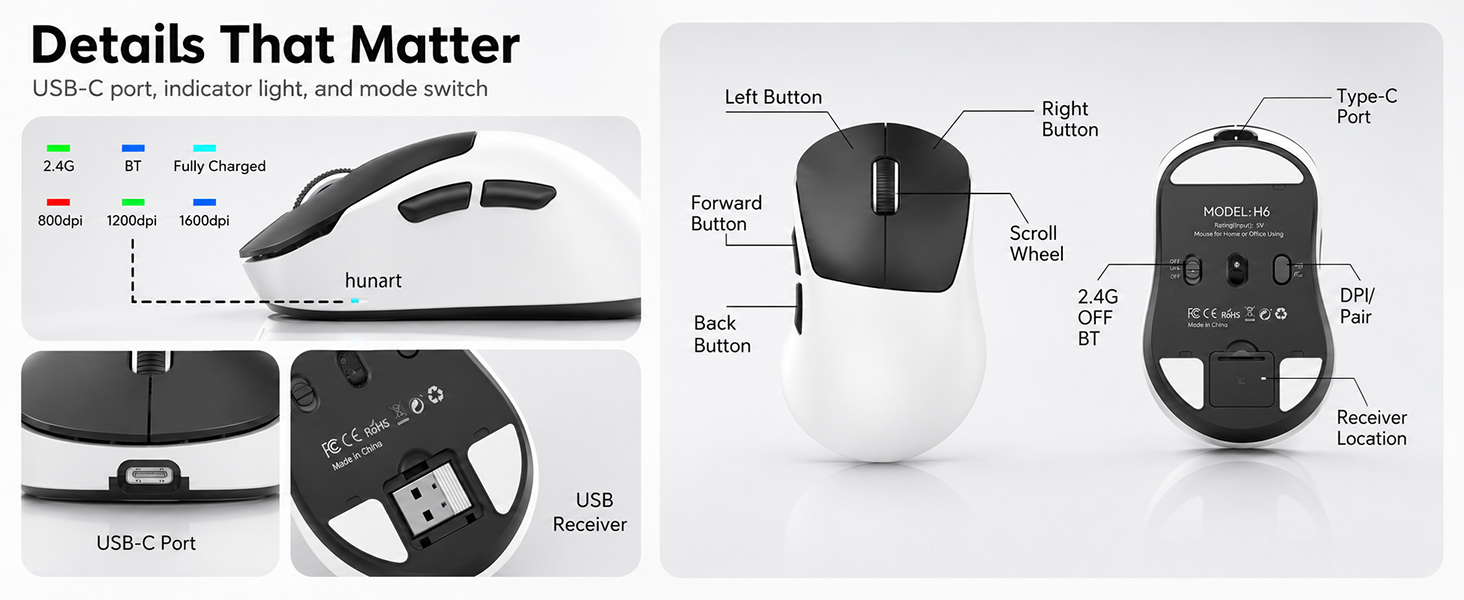 H6 Mouse
