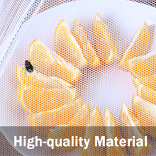 Mesh food cover tent