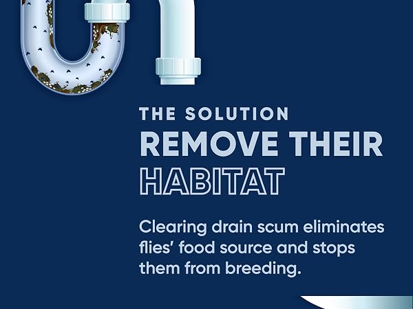 The solution
