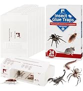 LULUCATCH Spider & Insect Glue Traps,24 Pack Pre-baited Cockroach Glue Boards, Non-Toxic Bulk Cri...