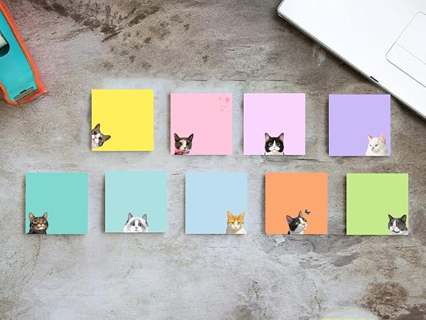 Cat sticky notes
