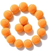 PoyPet 16-Pack Tennis Balls Bulk for Practice,Training and Beginners | Ideal for Dog Fetch,Chew a...
