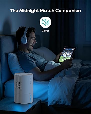 Small Dehumidifiers