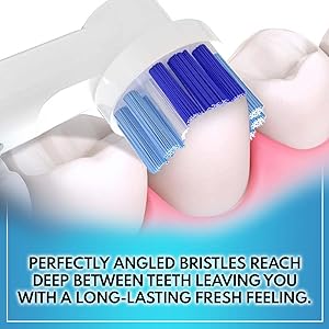 oral b refill
