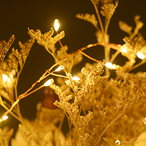 led fairy lights Fairy Lights