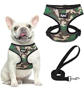PUPTECK Soft Mesh Dog Harness and Leash Set Pet Puppy Cat Comfort Padded Vest No Pull Harnesses, ...