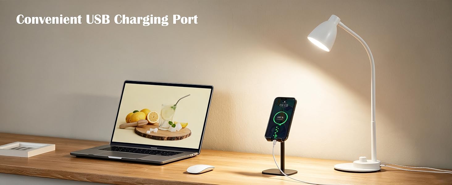 LED Desk Lamp with USB Charging Port Reading Lamp Task Lamp Flexible Table Light for Dorm Bedside