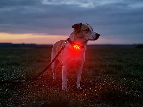 bike lights for night riding