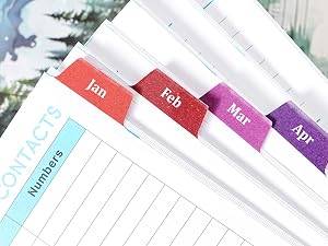 12 Colorful Monthly Tabs