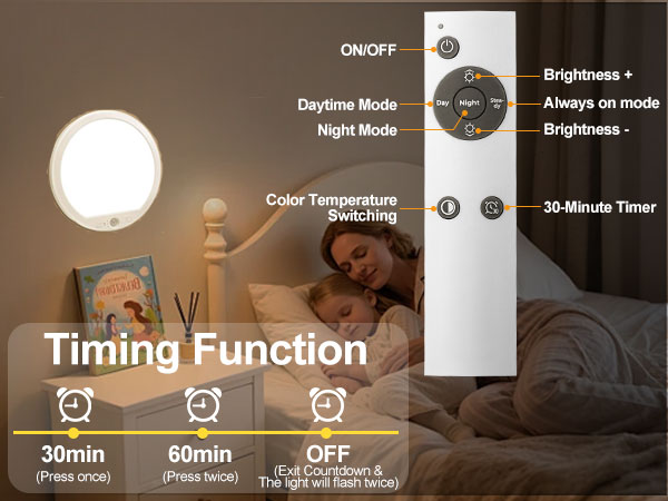battery operated ceiling light