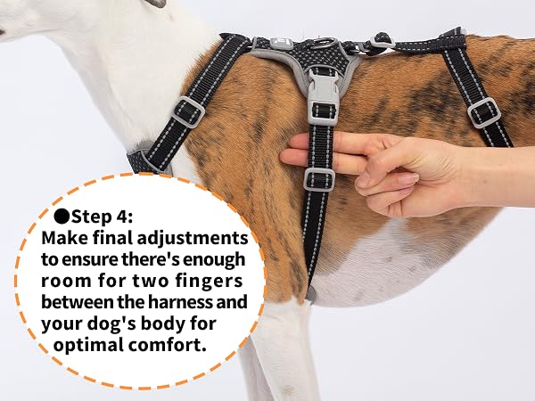 escape proof dog harness
