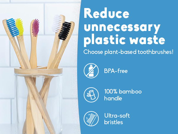 scraper travel plastic free mouth straw kid reusable paste wooden holder plaque eco go heads head