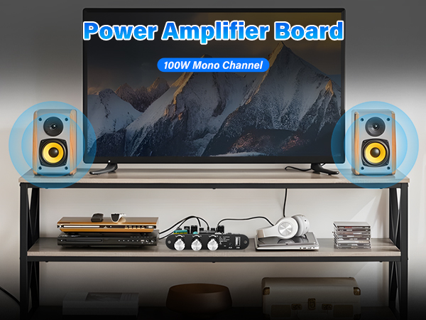 ZK-1001U Bluetooth Amplifier Board,100W Mono Channel Amp Board
