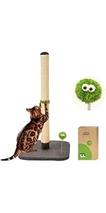 https://m.media-amazon.com/images/I/41qEALe%2BRpL.__AC_SR150,300___.jpg