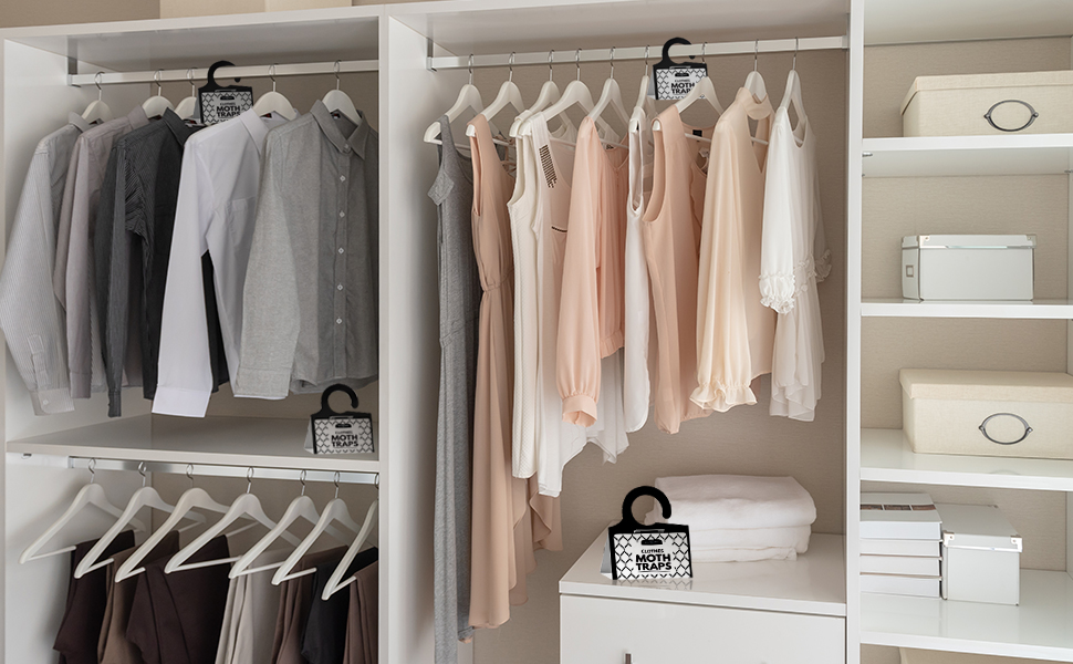 clothes moth traps