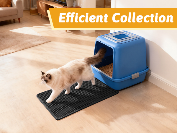 litter trapping mat