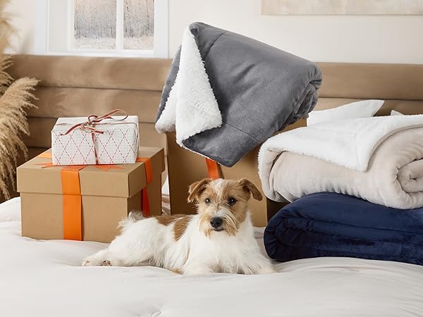 sherpa blanket