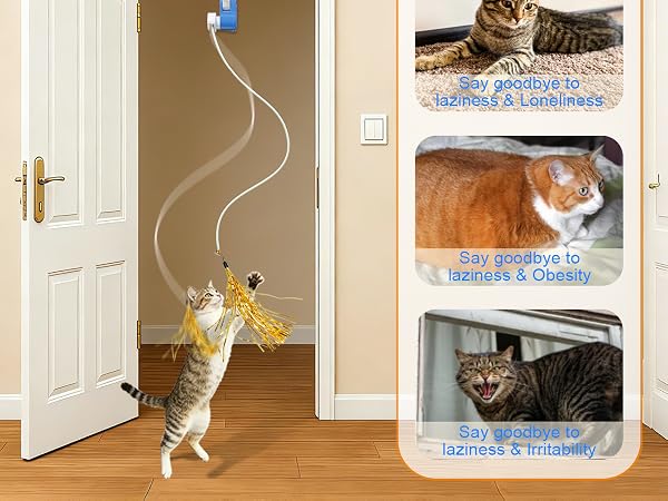 hanging cat toy