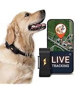 PAJ GPS Dog Tracker - 4G Real-Time Tracking & Runaway Alerts - Waterproof, Long-Range, Smart App ...