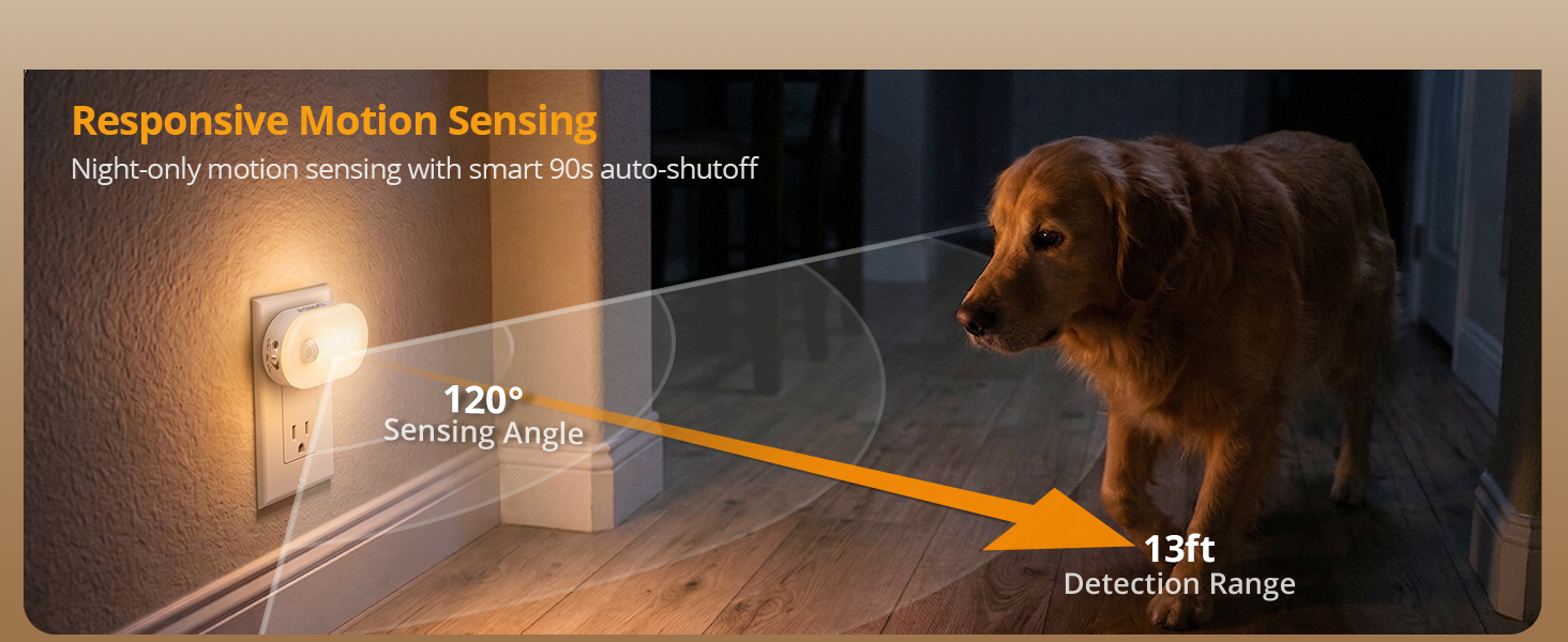 Motion-Sensing Night Light for Midnight Pet Walks