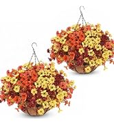 Geegoods 2-Pack Artificial Fall Mums Hanging Baskets for Outdoors | UV-Resistant Faux Mums with M...