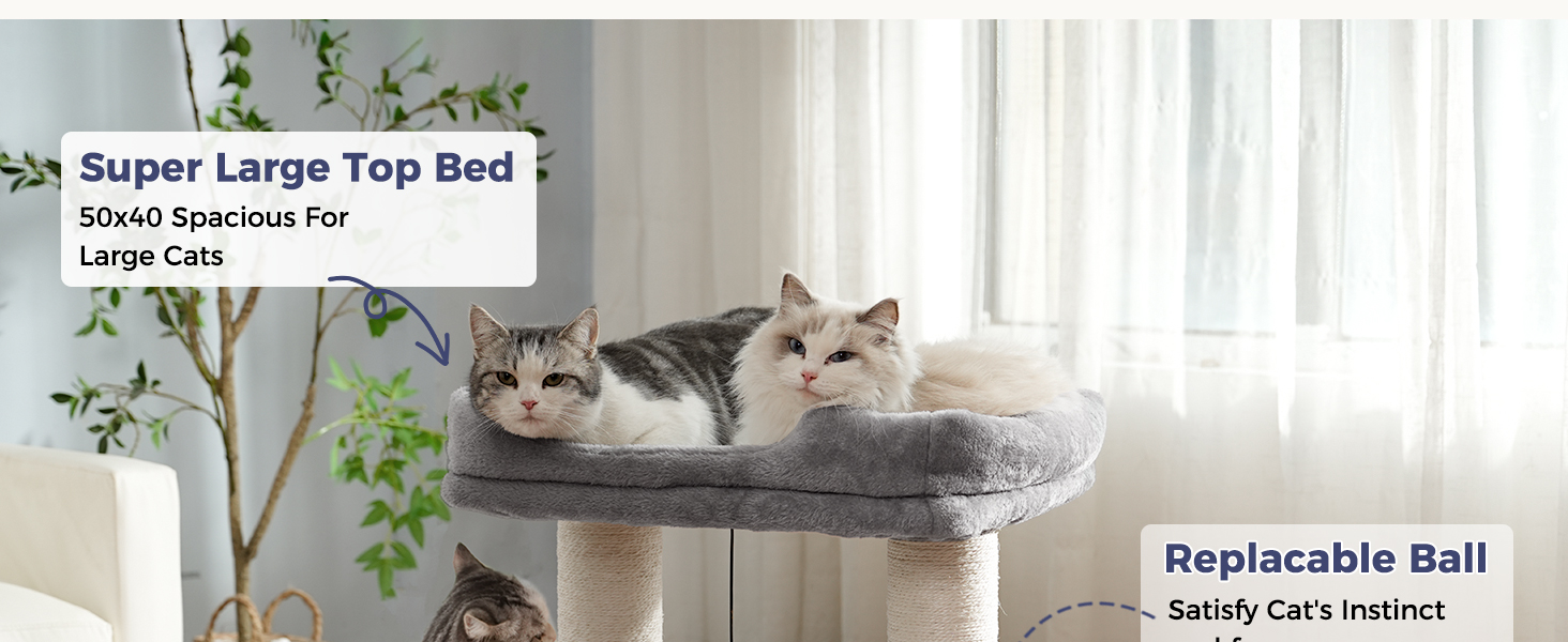 cat tree