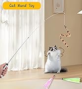 Janbenty 4-in-1 Interactive Cat Feather Toys with Retractable Fishing Pole and Enhanced Suction C...