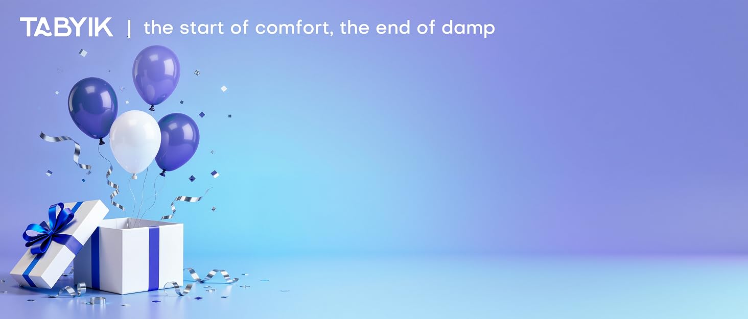 Dehumidifier