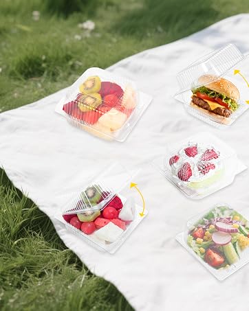 disposable cake containers with lids