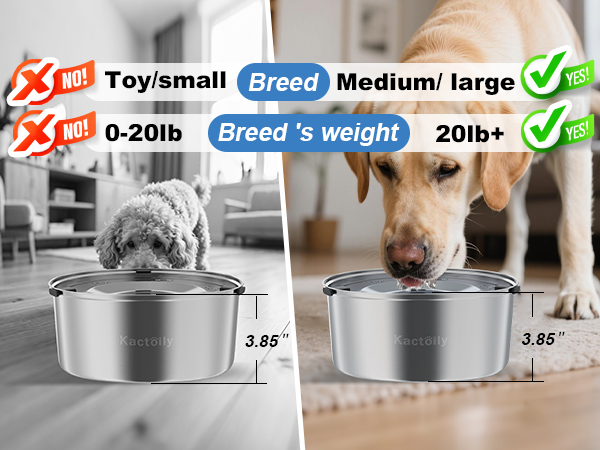 dog water bowl