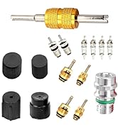 yorpyep Air Conditioning Valve Core Kit, High and Low Pressure Dust Cap Valve Core Combination Se...